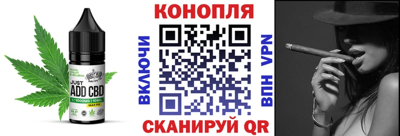 Купить где Балтийск Canna-Cookies конопля